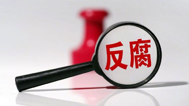 东北老女人视频