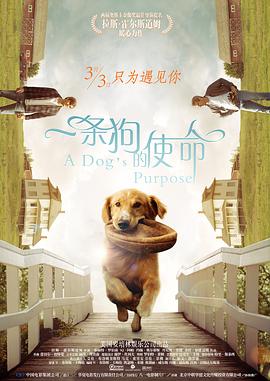 韩国 r 级 电影
