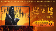 年轻的朋友6高清免费观看电影