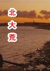 久久国产网站
