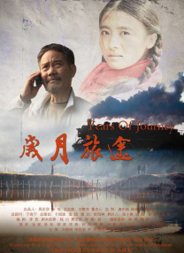 国产成人精品综合在线