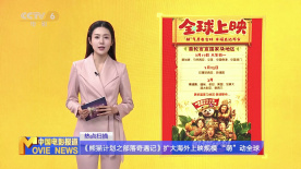 混血的人妻