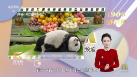 5173游戏交易平台交易官网